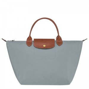 Bolsa de Mão Longchamp Le Pliage Original M Feminino Cinzentas | 5913-FEBLT