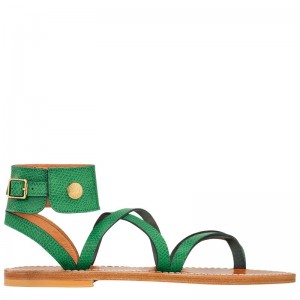 Sandálias Longchamp x K.Jacques Sandals Feminino Verdes | 9246-CUQZG