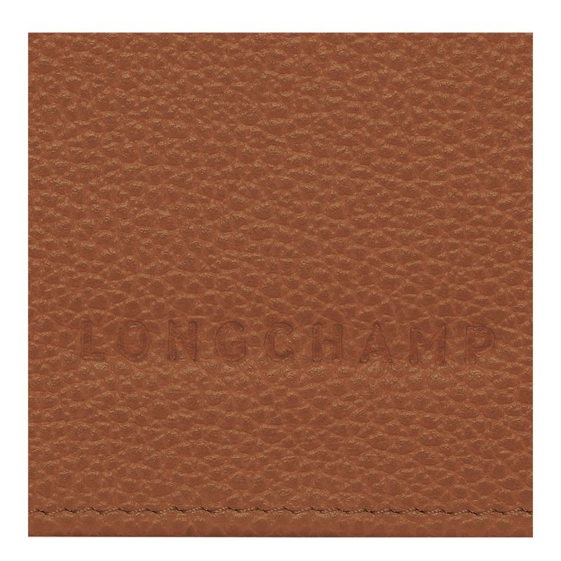 Carteira Longchamp Le Foulonné Continental Feminino Marrom | 3672-SRVXG