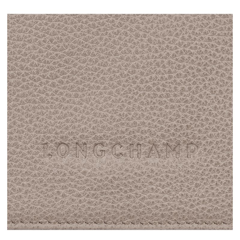 Carteira Longchamp Le Foulonné Feminino Cinzentas | 8946-ADRQL