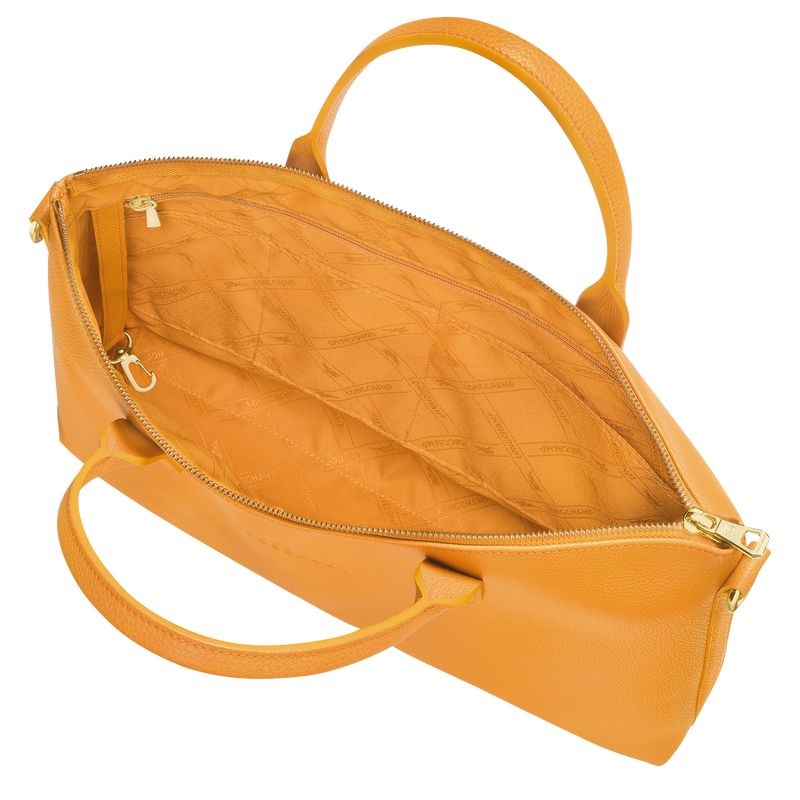 Pasta Longchamp Le Foulonné S Feminino Abricó | 7812-MISKD